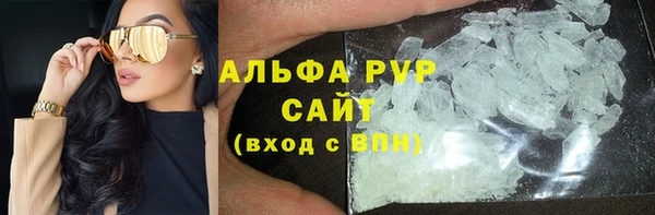 индика Баксан