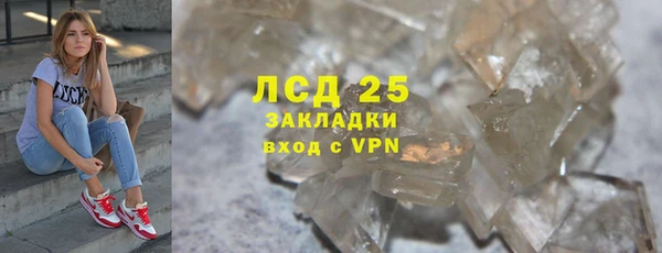 индика Баксан
