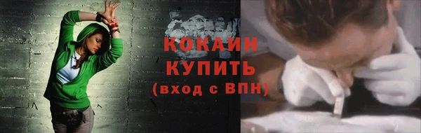 индика Баксан