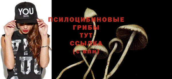 соль ск Балабаново