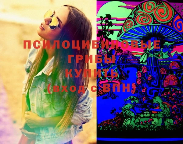 индика Баксан