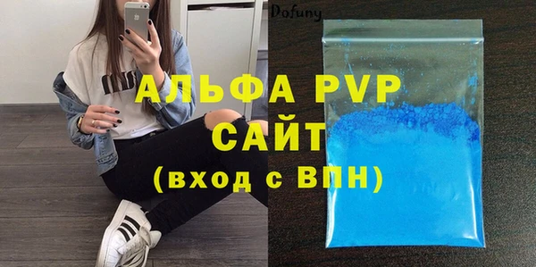 индика Баксан