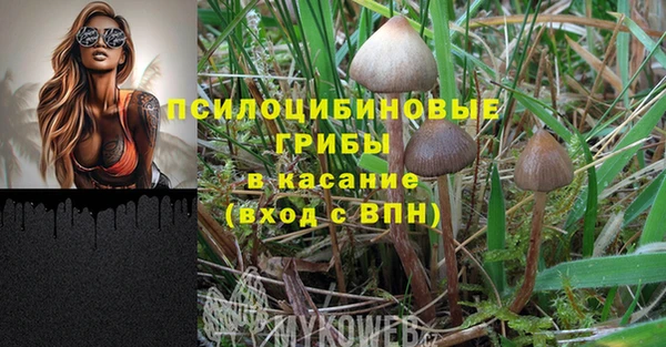 соль ск Балабаново