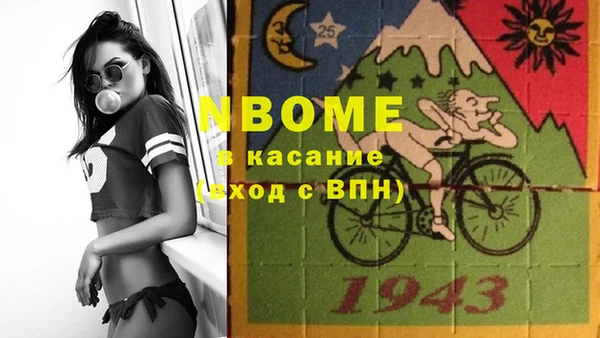 индика Баксан