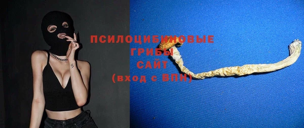 индика Баксан