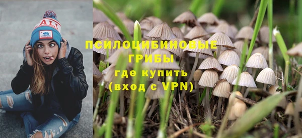 ешки Балахна