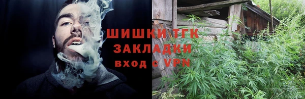 индика Баксан